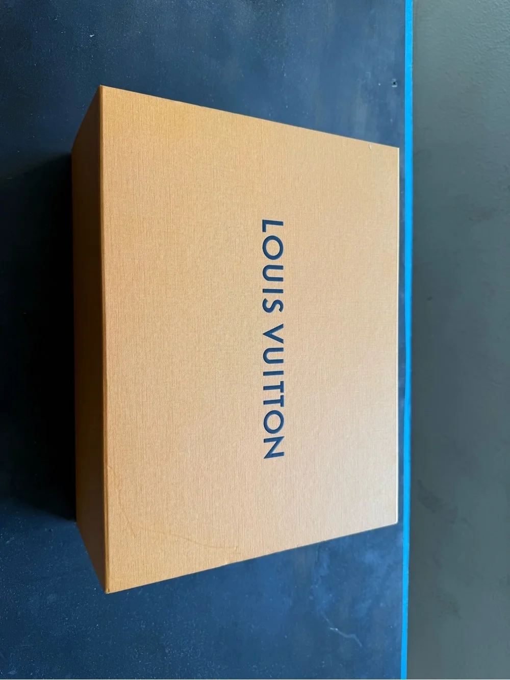 Louis Vuitton Men’s Black High-Top Leather Sneakers (authentication inside)